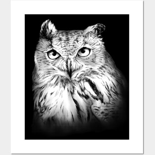 Eagle Owl Animal Portrait Posters and Art